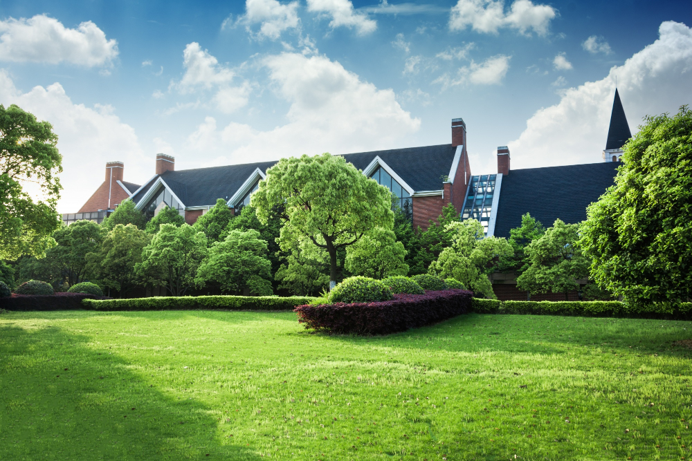 Utah Tree Services