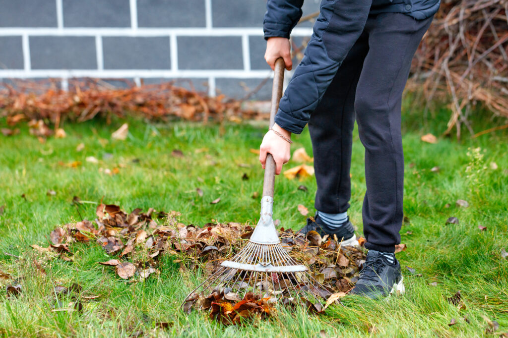 Fall Yard Cleanup