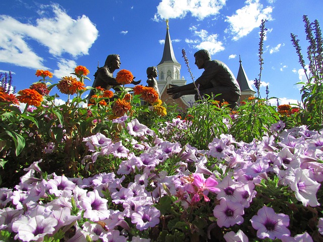Utah Flowers